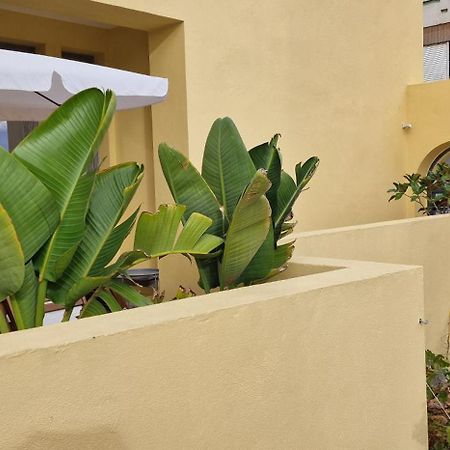Apartament Casa Da Acoteia Dystrykt Dystrykt Faro Zewnętrze zdjęcie