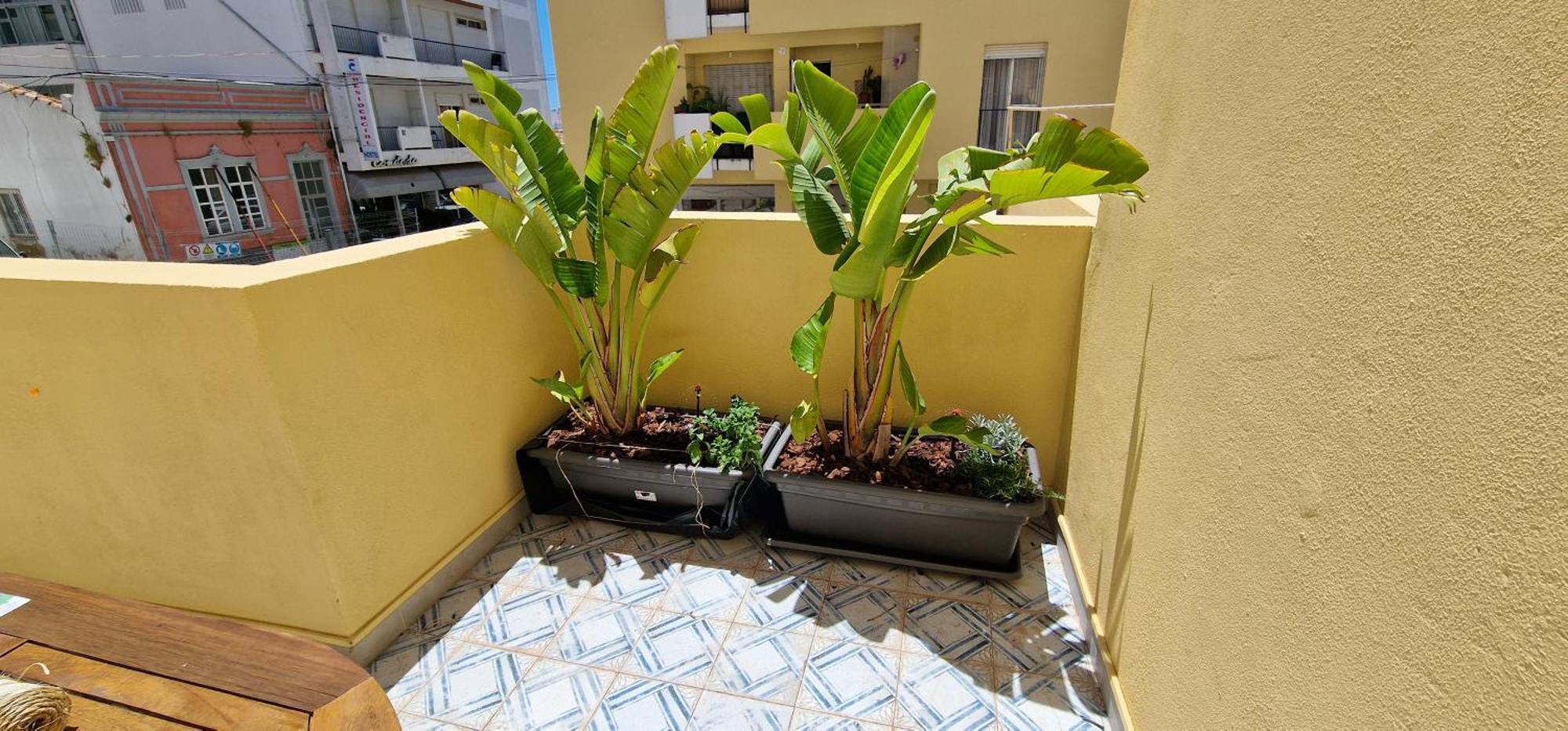 Apartament Casa Da Acoteia Dystrykt Dystrykt Faro Zewnętrze zdjęcie